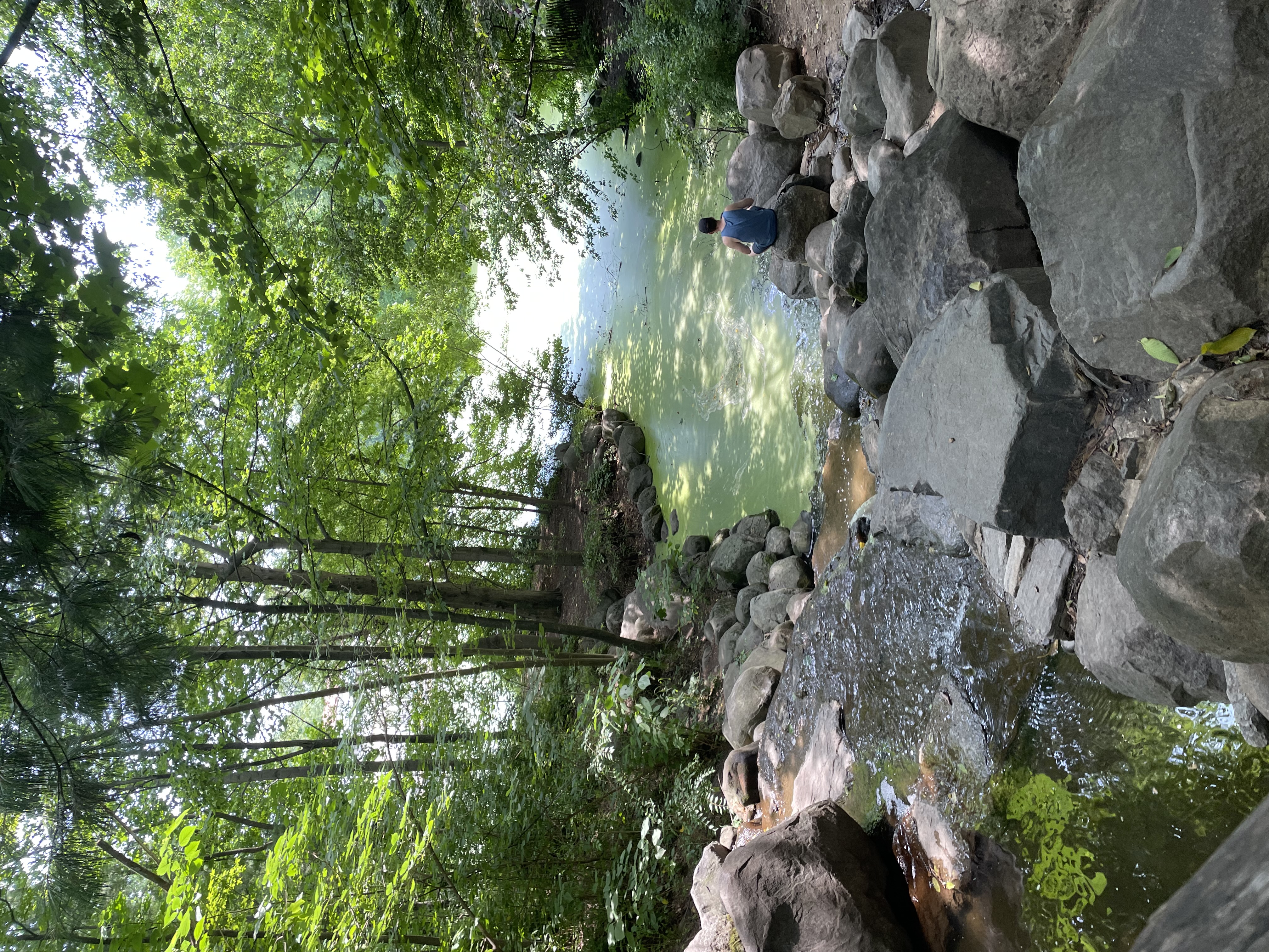 The waterfall